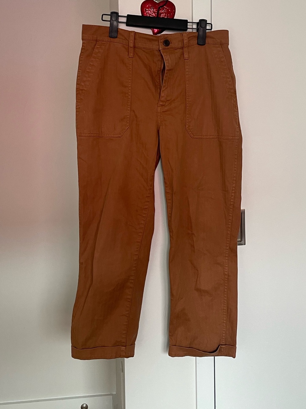Madewell Rust/ Burnt Orange carpenter pants